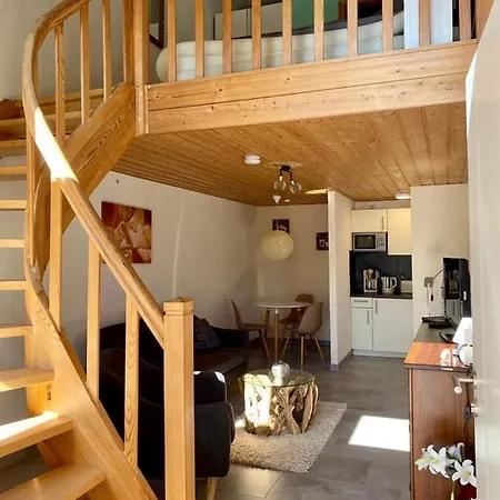 Naturstammhaus Und Appartements Zum Brockenbaecker Tanne Exterior photo