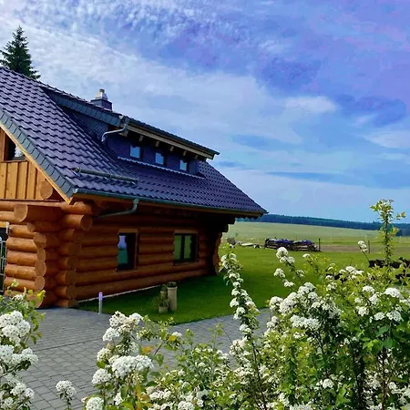 Naturstammhaus Und Appartements Zum Brockenbaecker Tanne Exterior photo