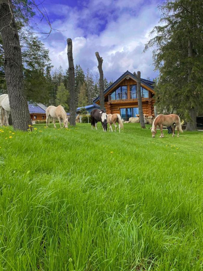 Naturstammhaus Und Zum Brockenbaecker *